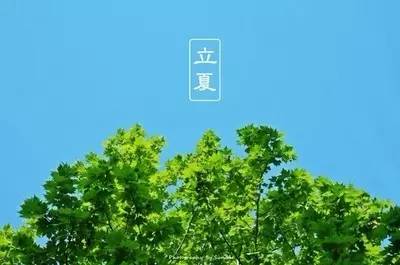却是石榴知立夏的翻译,却是石榴知立夏年年花开什么意思