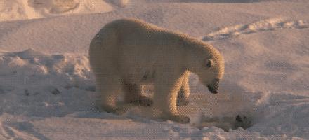 见识下真正的无敌女汉子*飞机打**！