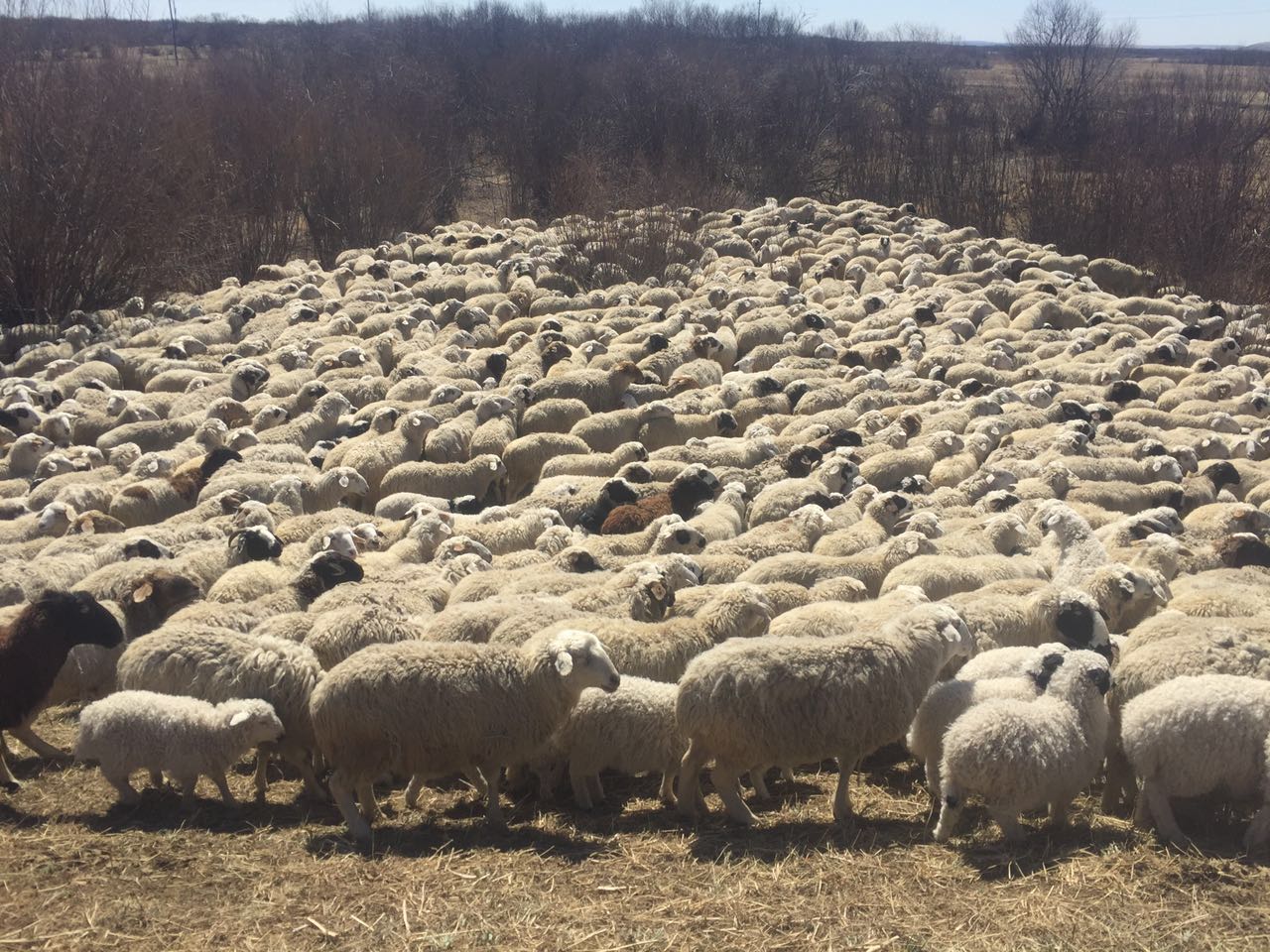 寻北路上，你需要知道的“姿势”