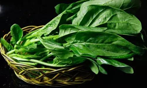 食疗治骨刺,骨科养生秘诀视频