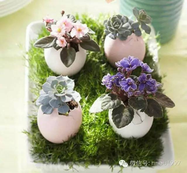 破瓦罐创意花盆,创意简约意境花盆