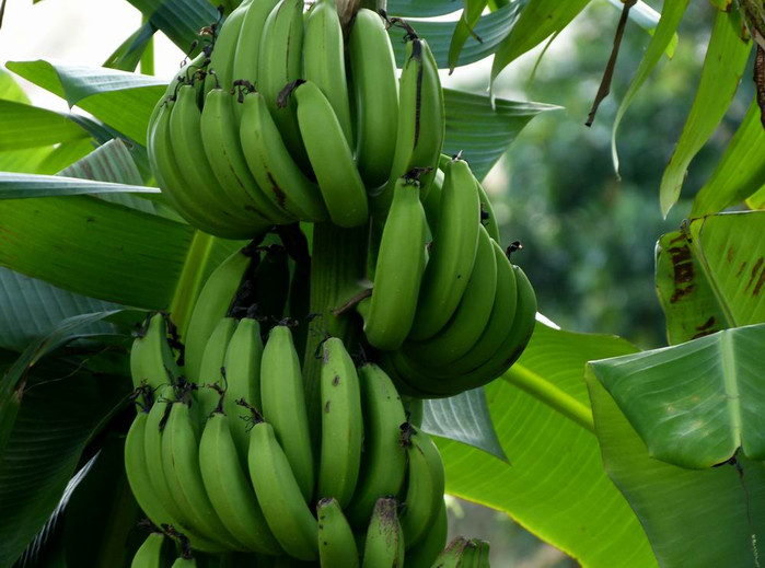 长滩之旅分享篇,长滩旅游行程