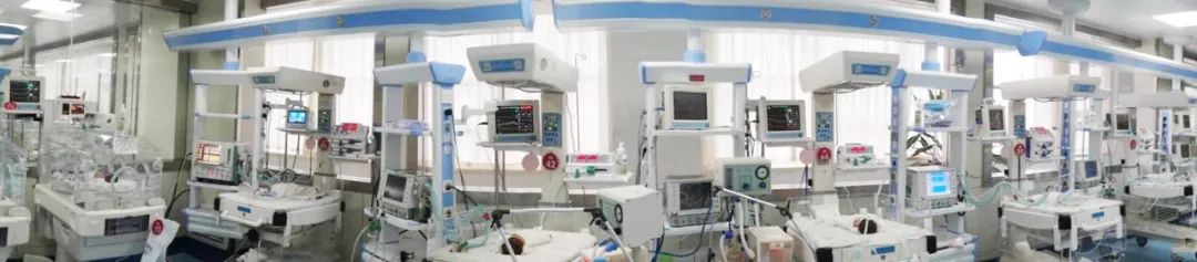 倾我华年守护新生——潍坊市妇幼保健院张成元获全国“感动患者人物”殊荣