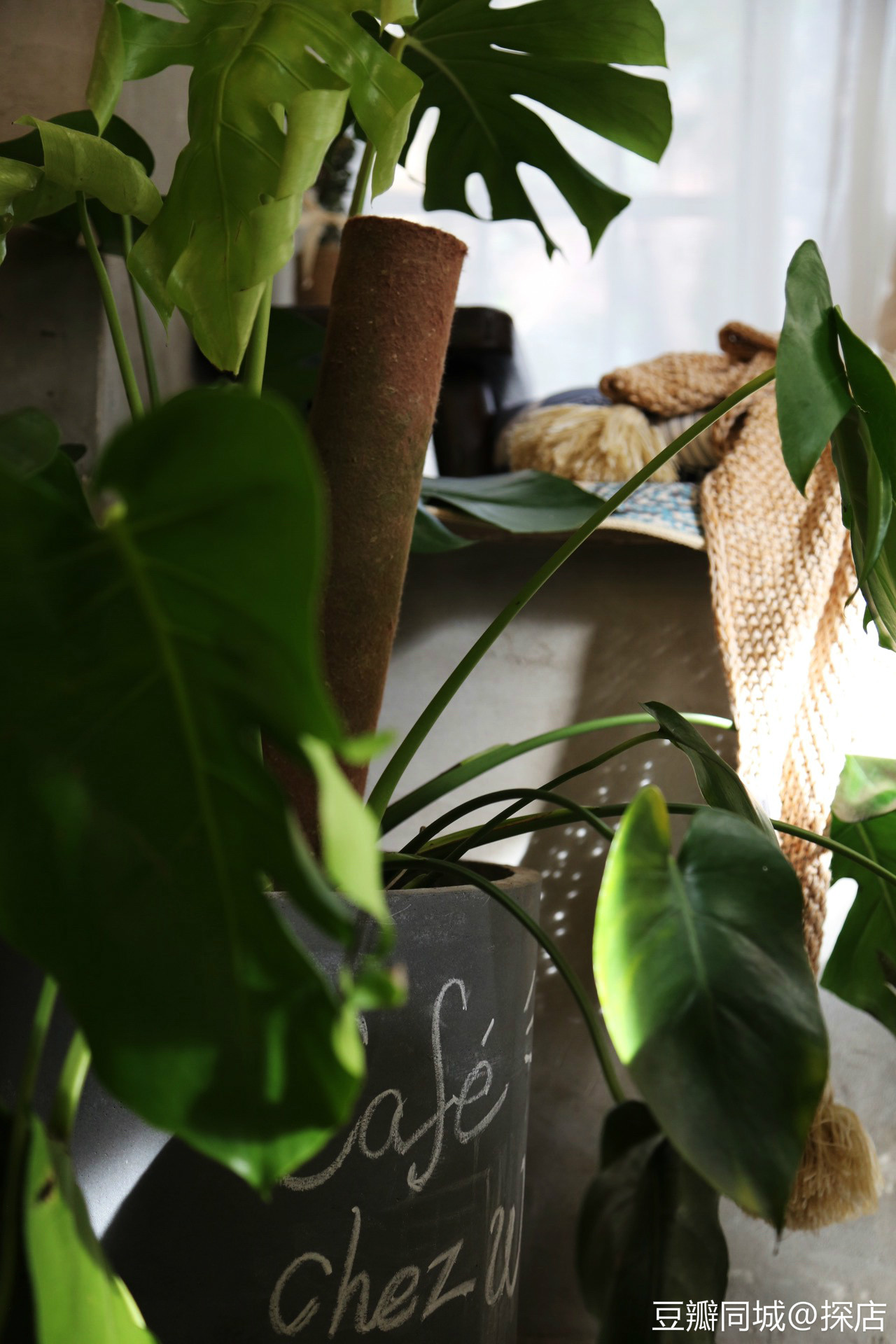 豆瓣青岛周末活动,豆瓣在哪里发布