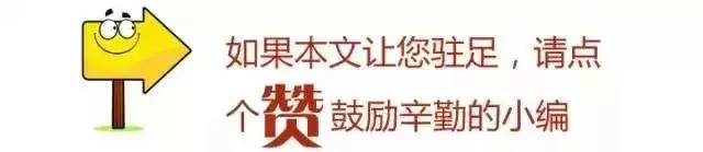重庆市全国人民代表大会的女代表,重庆女全国人大代表