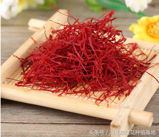 购买新疆藏红花种子,藏红花要到哪里买