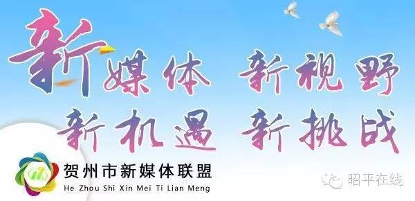 一方原木能出多少精品木材,一方原木多少钱