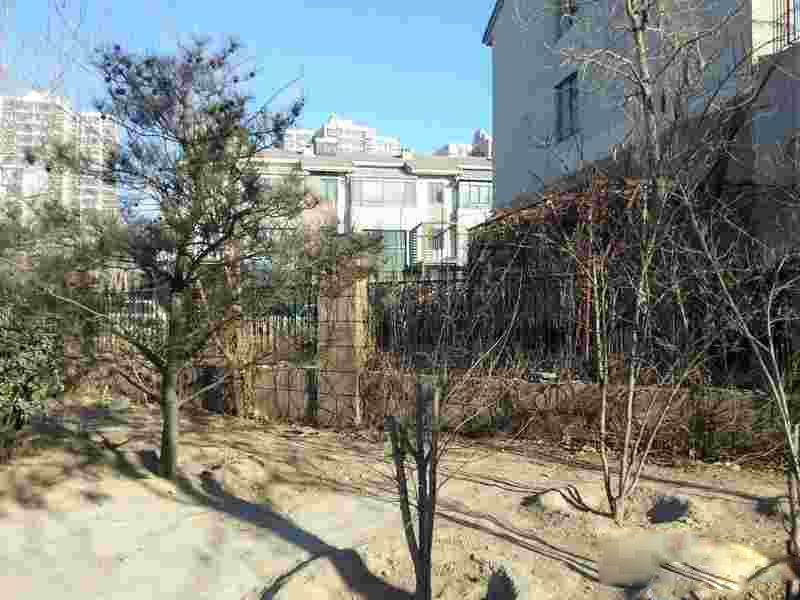 双桥，到底有多闹心？！