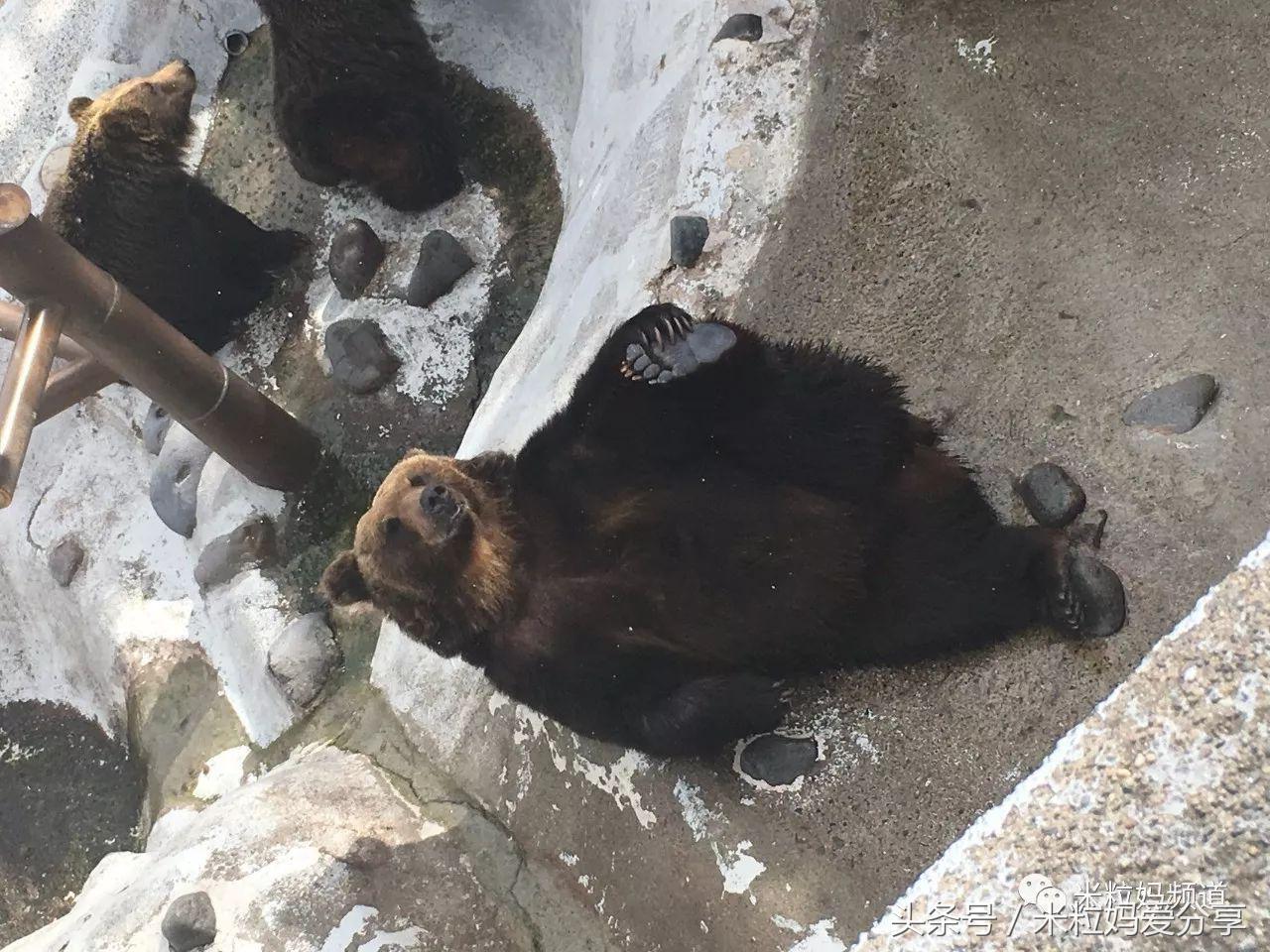 亲子游出境自由行,亲子游建议去的十个城市