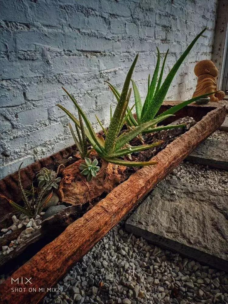 与大理古城最后一晚的邂逅,与大理的第五次相遇