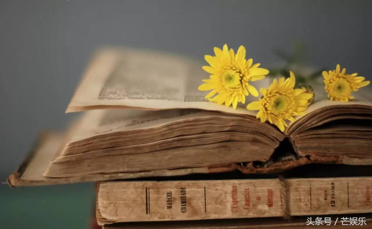 花最少的精力去做最多的事,花最少的时间做高效的事