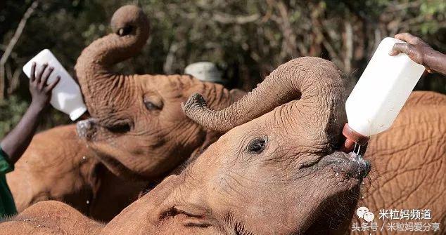 亲子游出境自由行,亲子游建议去的十个城市