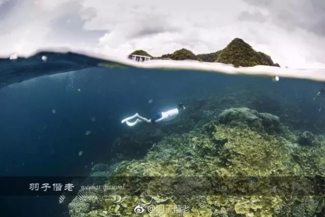 不再关心不再过问,不再过问身后事