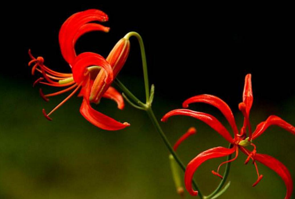 面对看不起自己的人怎么做,面对看不得别人好的人怎么办