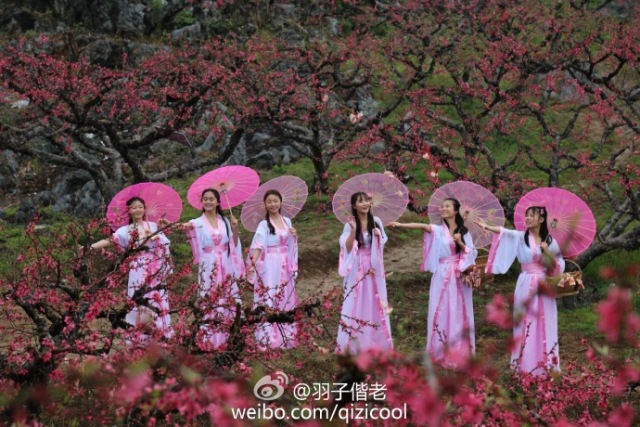 不再关心不再过问,不再过问身后事