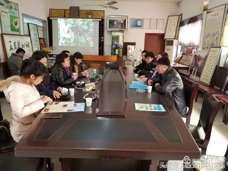 鄠邑区长裴靖瑜,2020鄠邑区裴靖瑜