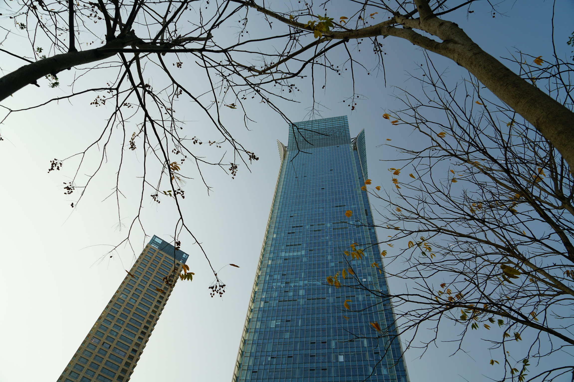 温州乐清十大酒店排行,温州市区酒店十大排名最新