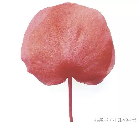 别再Zara了,西班牙王后亲自带你买买买!