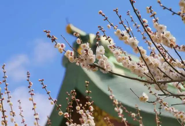腊八十首经典诗词,赞美腊八饭的诗
