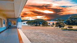 表白神器绝对一次就成功,5款表白神器