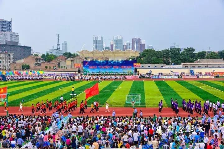 我叫兴平，这是我的年终总结！