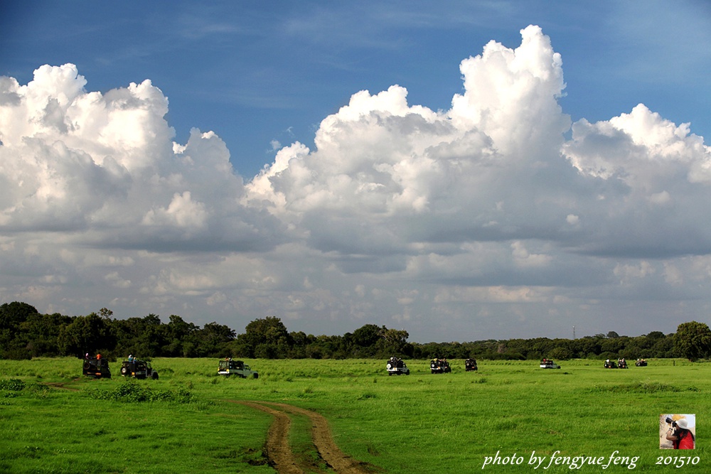 斯里兰卡旅游景点视频全集,斯里兰卡咋去