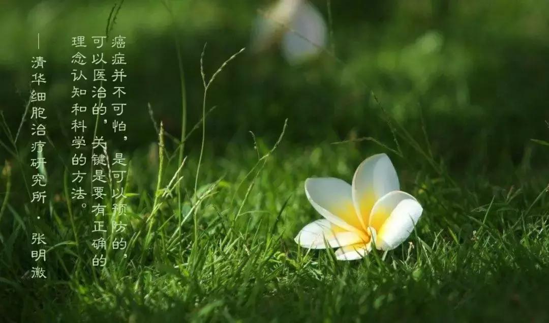 2023nkt细胞治疗肺癌效果,nkt肺癌免疫治疗