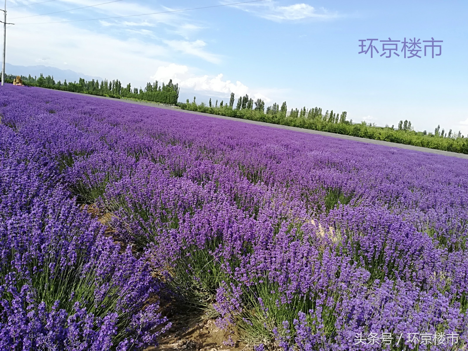 天下第一州涿州市,天下第一州涿州的介绍