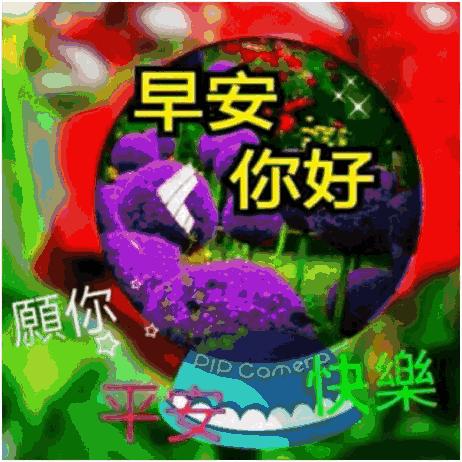 坐等群聊表情包图片大全,适合往群聊里发的表情包