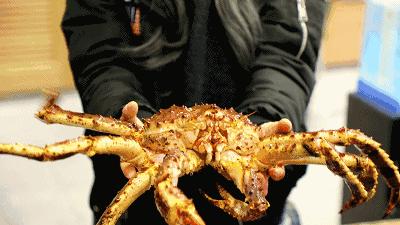 宇宙最红“地球港”空降北京!8国牛肉,逛吃7天不重样!