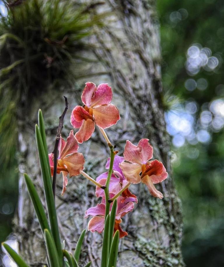 侏罗纪世界公园取景地,侏罗纪公园拍摄地点在哪里