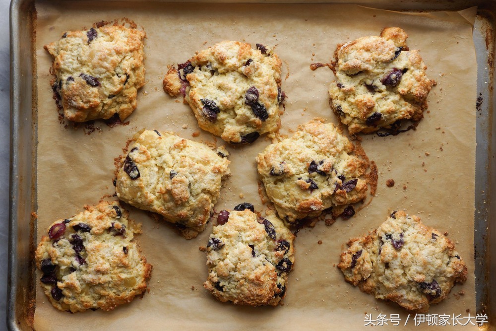 你家崽常带的葡萄干司康、南瓜百吉饼都是什么鬼？好吃吗？