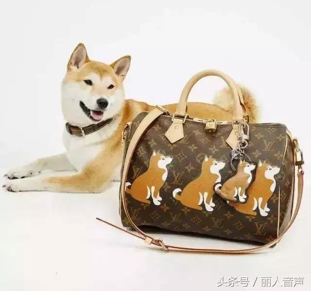 对十二生肖的权威解读表,中国人对十二生肖的看法