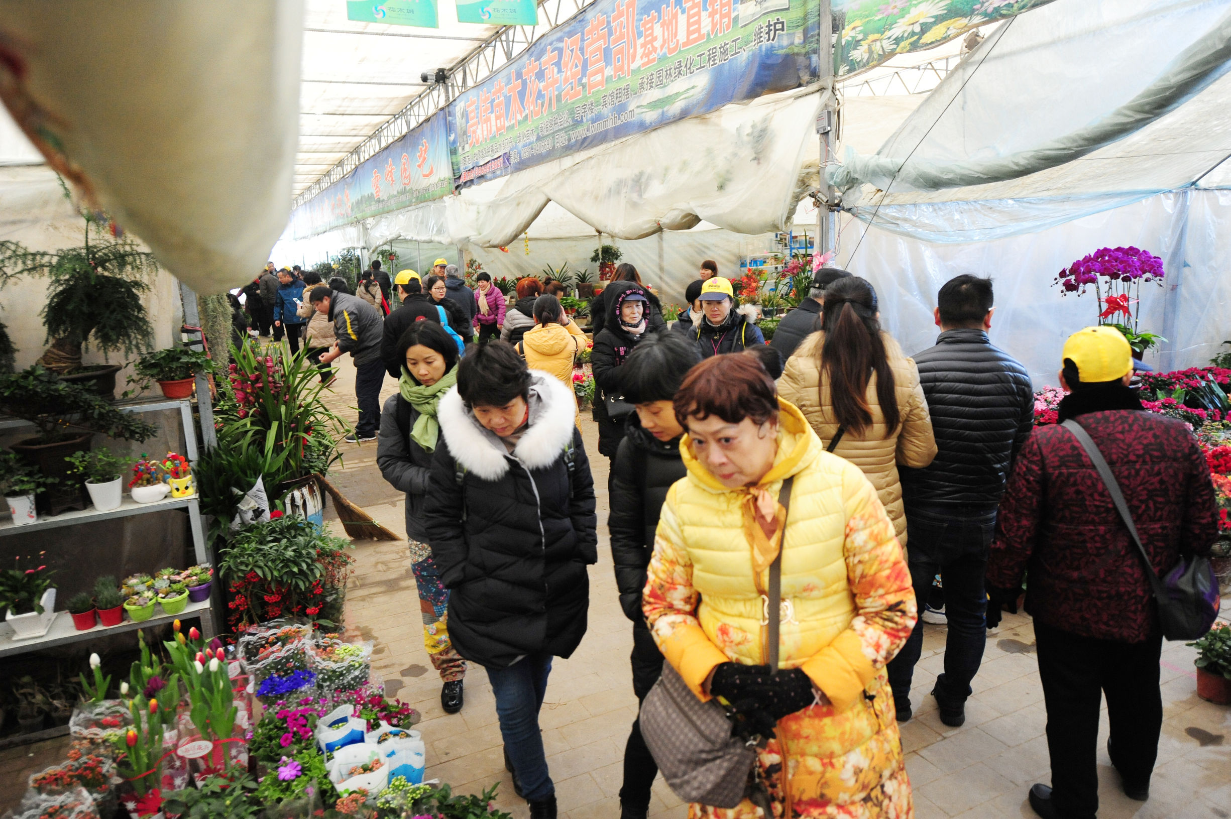 第七届肥西旅游年货节暨紫蓬山腊八祈福活动举办