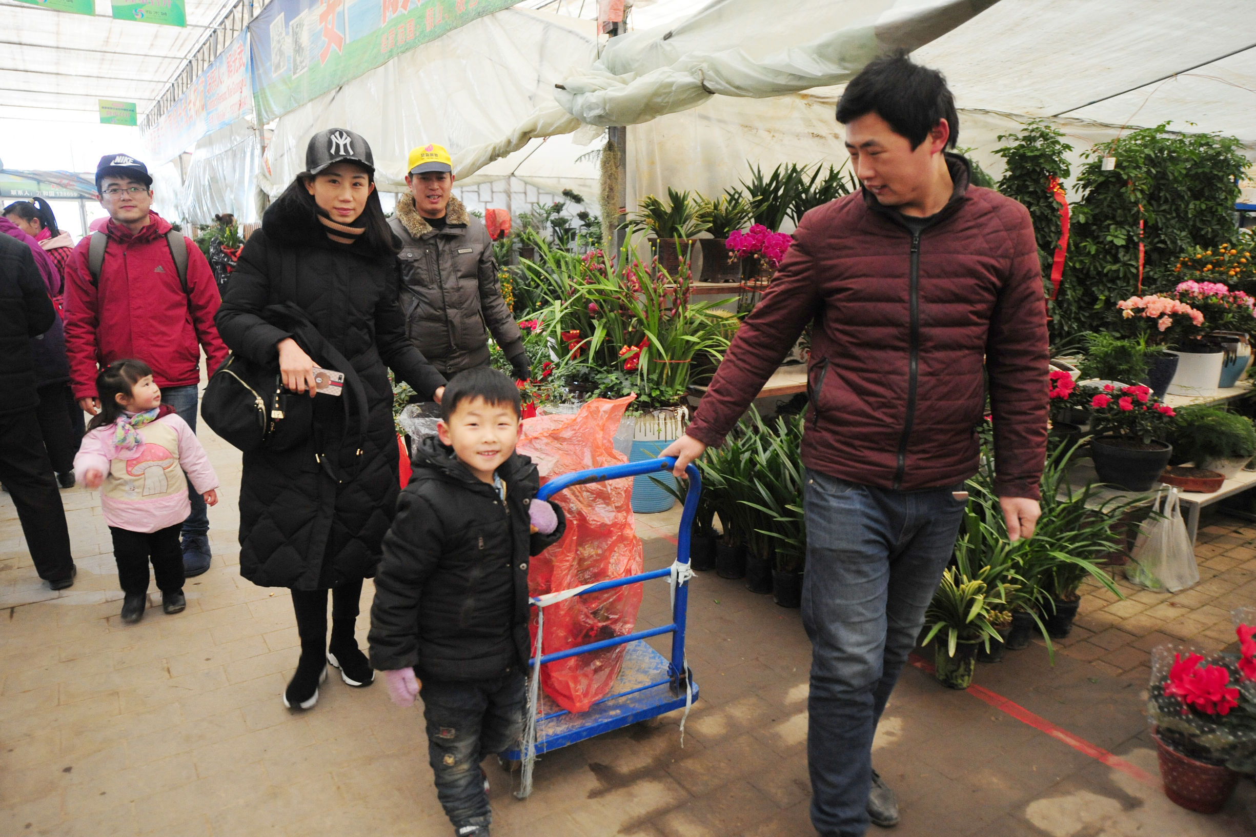 第七届肥西旅游年货节暨紫蓬山腊八祈福活动举办