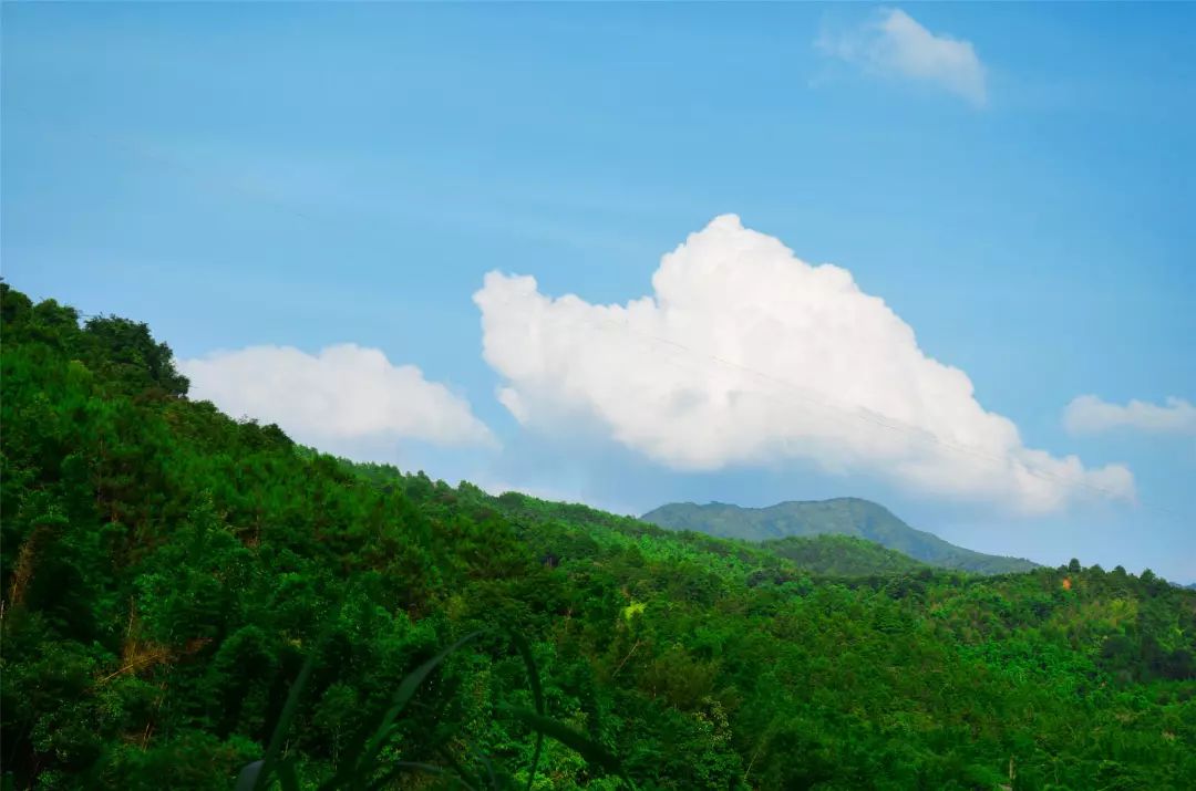 福利丨粤北越北，风景更美，邀你到丹霞灵溪过个红红火火东北年