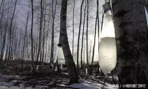 中国最美少数民族村寨,少数民族特色村寨民俗旅游