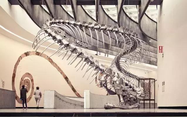 博采众长中西结合,博采众长丰富多彩独具魅力