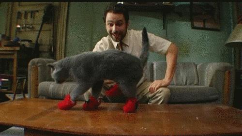 易烊千玺杨幂板鞋,易烊千玺杨幂张大仙