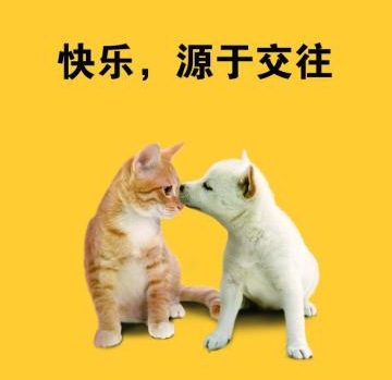 新人进公司不知道做什么怎么办,新手人事刚进公司没人带怎么办