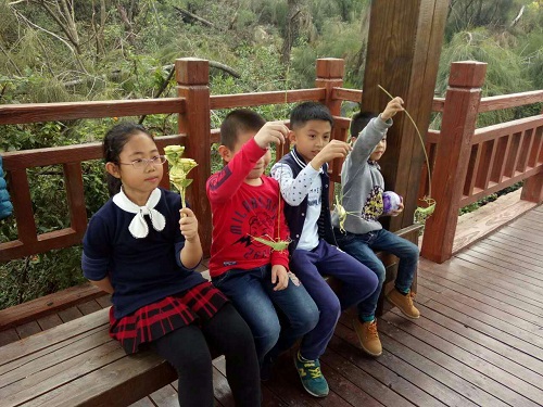 商机故事会,商机创业故事