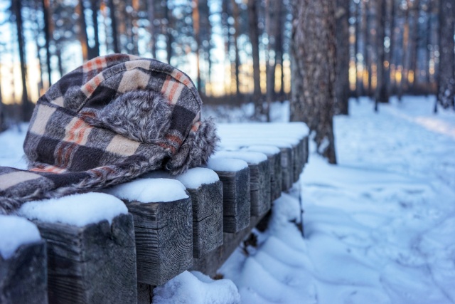 「新年目的地推荐一」金鸡之巅，边境梦雪，一路向北