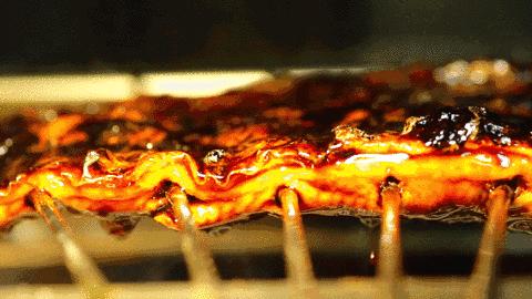 鳗鱼灭绝了么,鳗鱼在慢慢灭绝吗