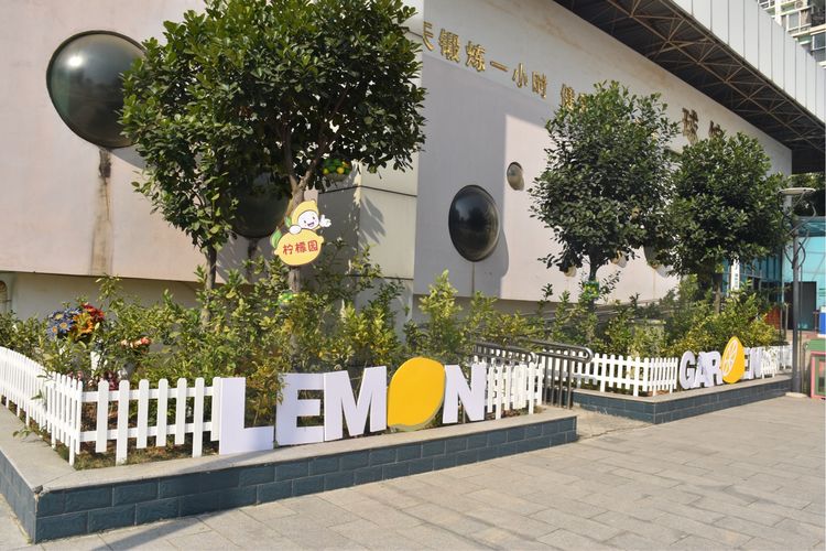 学生成长的沃土师生眷恋的乐园一一八桂绿城小学2017年工作汇报