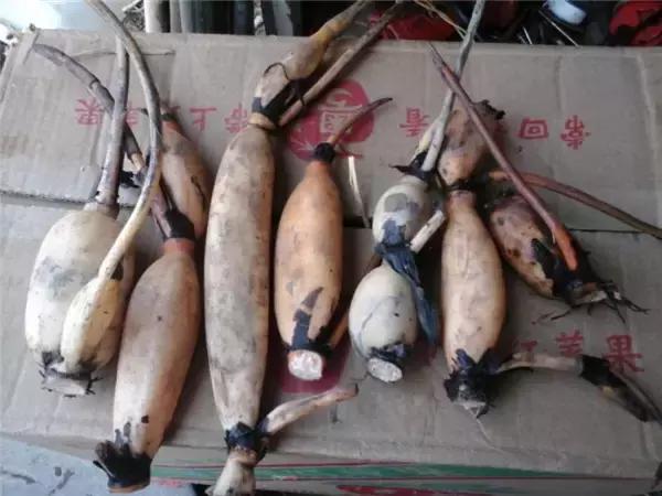 河南特产礼物,郑州特产送人的特色礼品