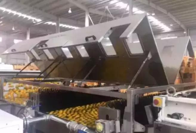 褚橙成功秘诀,褚橙一亩产多少