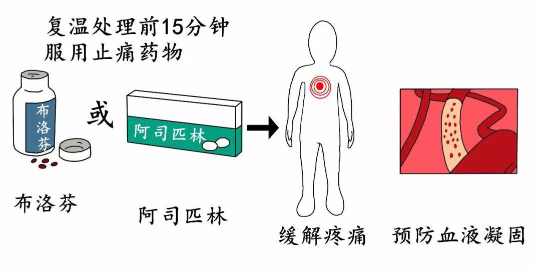菜鸟日记在线观看,菜鸟日记最新版