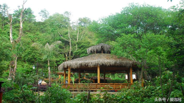 福建森林温泉,武夷山温泉度假区