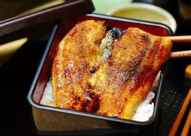 鳗鱼灭绝了么,鳗鱼在慢慢灭绝吗