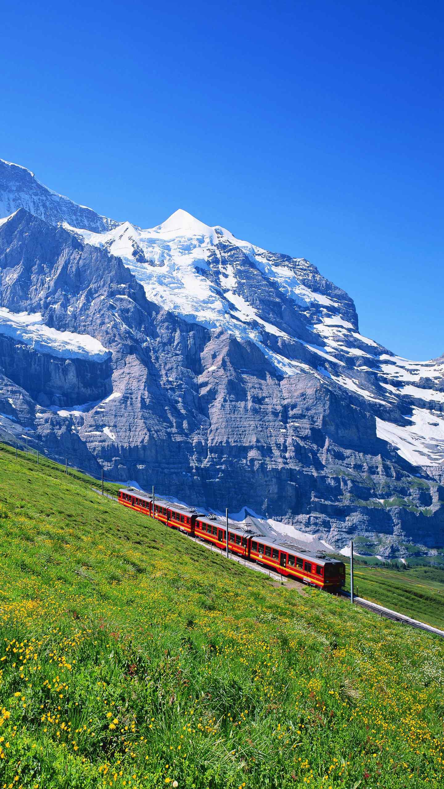 哪些值得收藏的常用网址,最值得收藏的网址